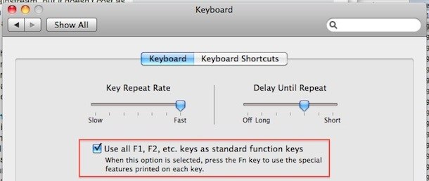 Switch Mac Function Keys To Work As Standard Function Keys 