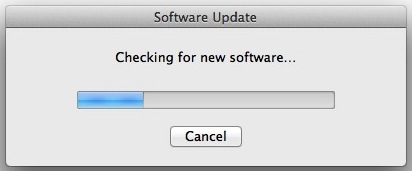 Software Update running
