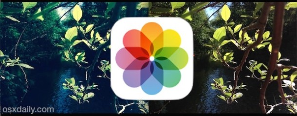 photo of Remove Color Filters from Photos in iOS to Restore the Original Image image