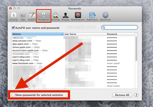 photo of How to Show Web Site Passwords in Safari for Mac OS X image
