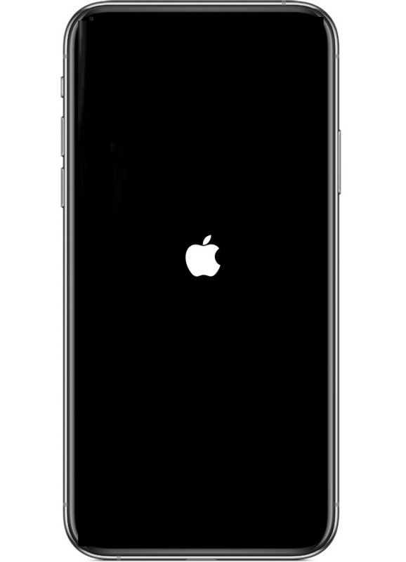 A force restarting iPhone 11 or iPhone 11 Pro looks like this with an Apple logo on screen