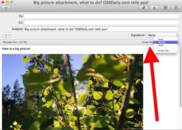 изменить размер фотографии в электронной почте в приложении Mac Mail 