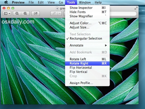 Rotate or flip pictures in the Preview app of Mac OS X