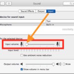 Disable Microphone on Mac