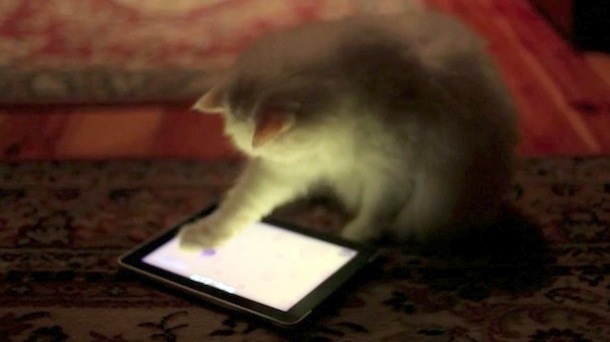 ipad game for cats