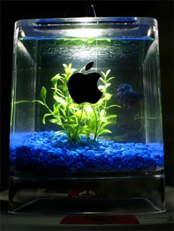 mac cube aquarium