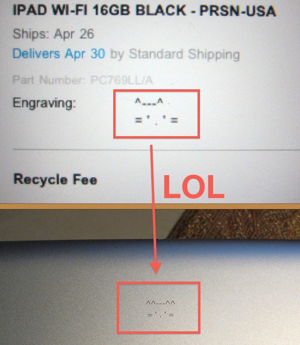 Four eared cat iPad 2 engraving error