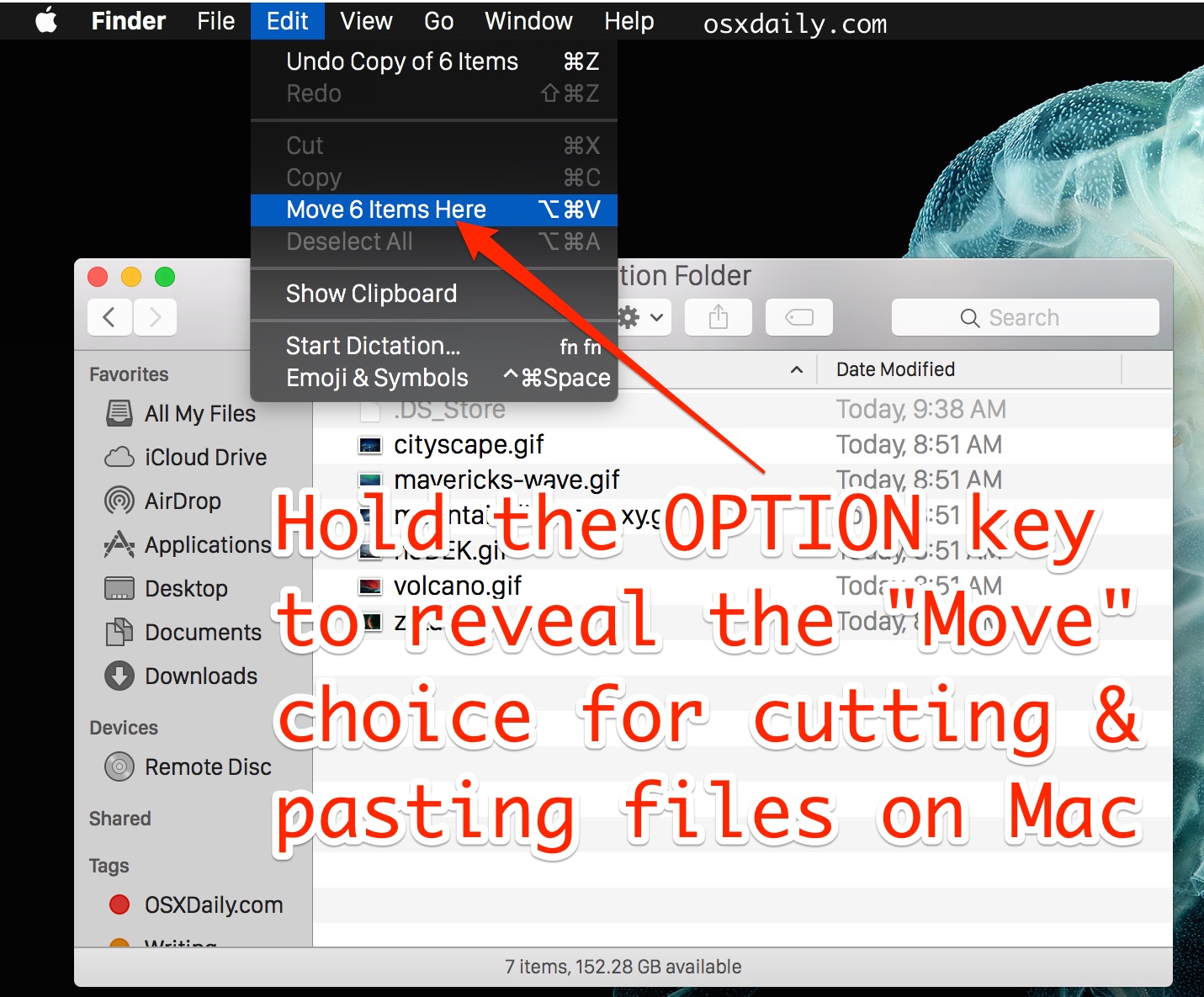 Cut and paste files in Mac OS X with the Move modifier option