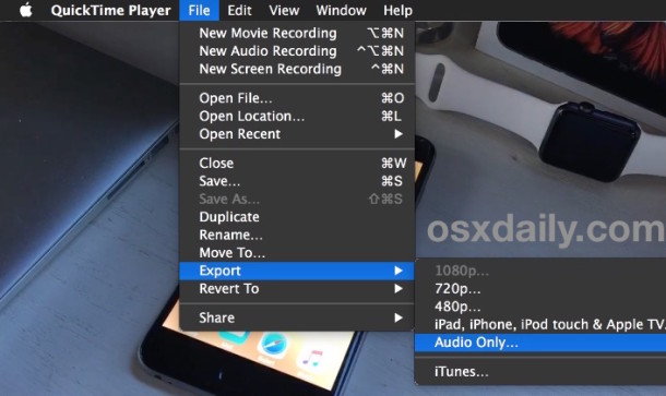 Extracting audio from Video in Mac OS X with QuickTime