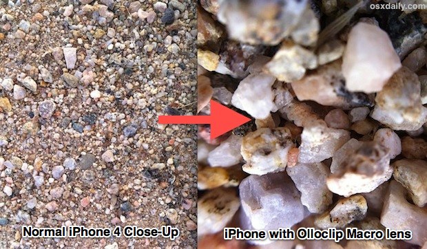 iPhone camera vs Olloclip macro lens