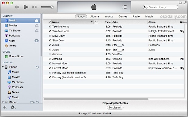 Showing Duplicate Items in iTunes