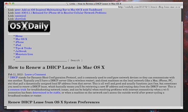 Lynx browser in X11 with image support