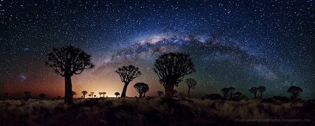 Milky way over Quiver trees