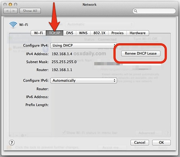 Renewing a DHCP lease in Mac OS X