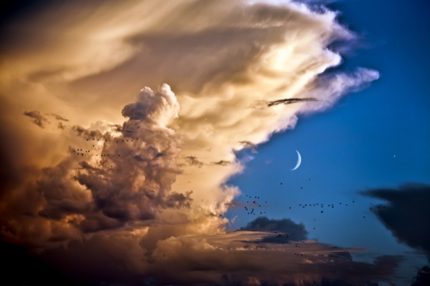Venus clouds and the moon