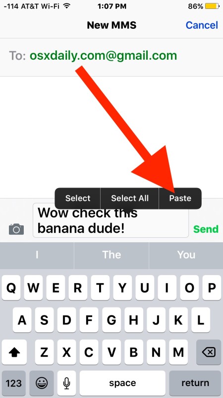 Paste the animated GIF into the send input messages box