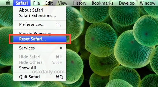 Reset Safari to defaults