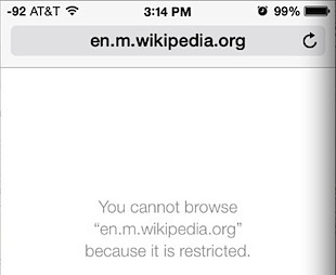 Accessing a Blocked website in Safari looks like this