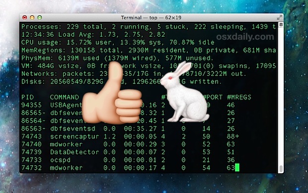 Faster Terminal with a basic theme
