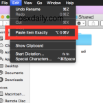 Paste Item Exactly to relocate a file while maintaining permissions in OS X