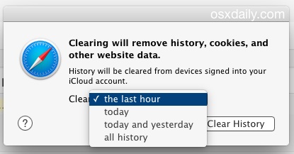 Clear recent Safari history and site data 
