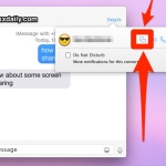 Start or Request Screen Sharing in OS X