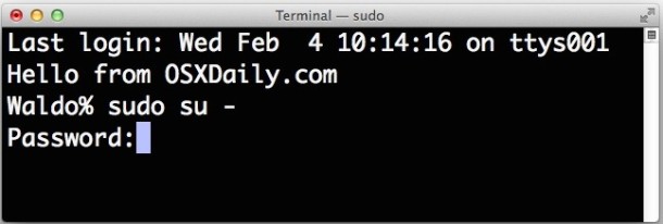 Terminal won't enter a password visibly, but it is entered 