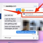 Mute a conversation in Messages for Mac
