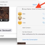 Assign a name to group chat in Messages for Mac