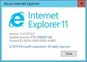internet explorer 11 macos