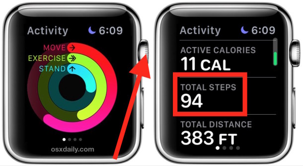 Accessing the Pedometer Step Counter on Apple Watch