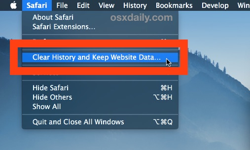 Safari clear history but keep website data option in Mac OS X