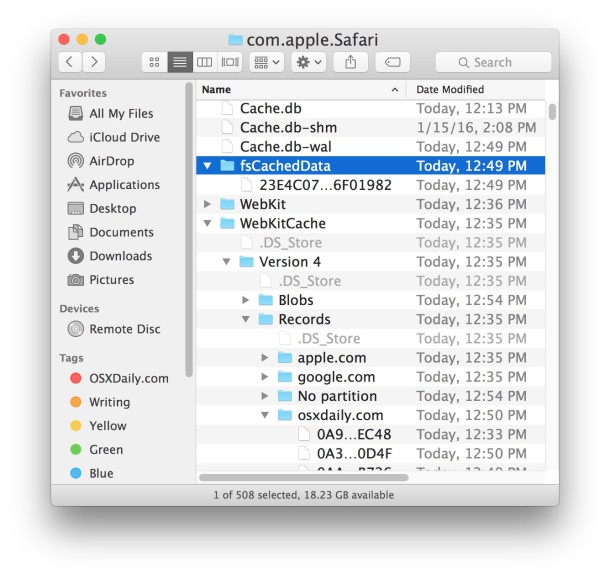 Safari cache locations in the Mac OS X file system