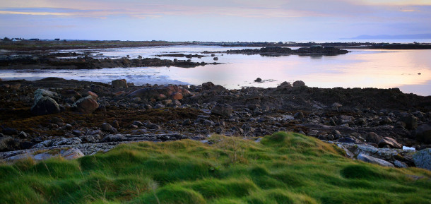 Grassy shoreline