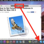 Add a website shortcut to the Dock in Mac OS X
