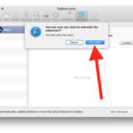 Remove Safari extension on Mac