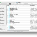 The user Library folder in MacOS