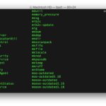 Showing all terminal commands on Mac