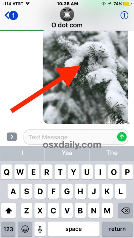 Save a picture from Messages to iOS