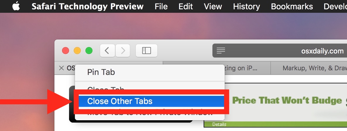 Close Other Tabs in Safari on Mac