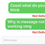 How to resend a Message and fix Not Delivered error on iPhone