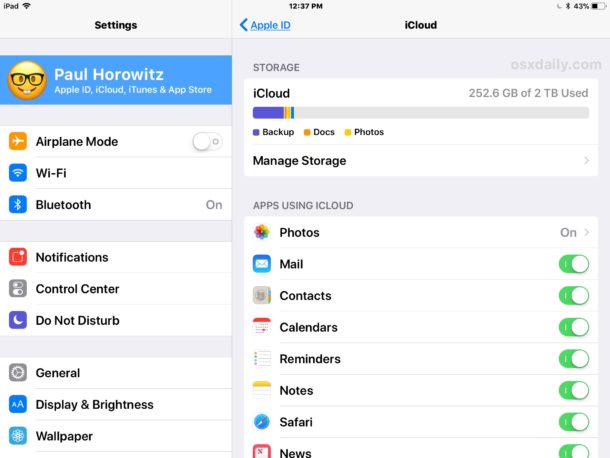 iCloud Settings in iOS as seen on iPad