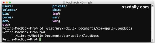Access iCloud Drive via command line in macOS