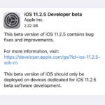 iOS 11.2.5 beta 1 download