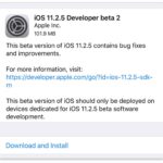 iOS 11.2.5 Beta 2