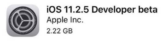 iOS 11.2.5 beta 1