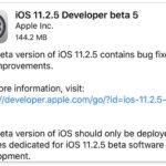 iOS 11.2.5 beta 5