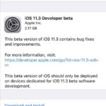 iOS 11.3 beta 1