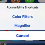 Use the Accessibility Shortcut on iPhone and iPad