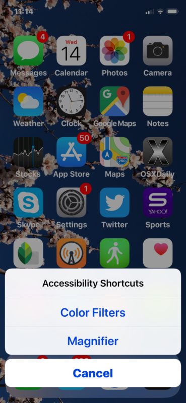 The Accessibility Shortcut seen on iPhone